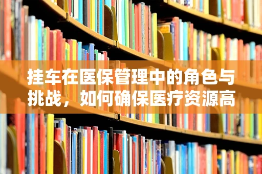 挂车在医保管理中的角色与挑战，如何确保医疗资源高效利用？