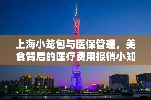 上海小笼包与医保管理，美食背后的医疗费用报销小知识