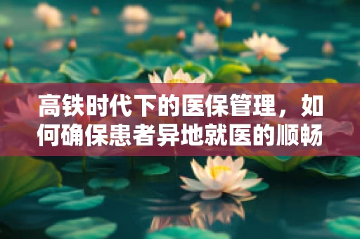 高铁时代下的医保管理，如何确保患者异地就医的顺畅与安全？
