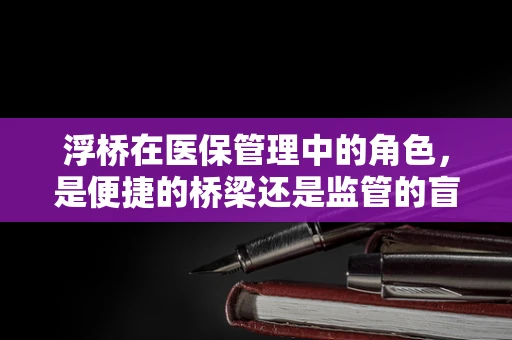 浮桥在医保管理中的角色，是便捷的桥梁还是监管的盲区？