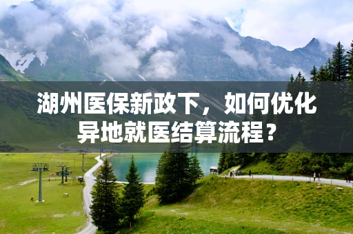 湖州医保新政下，如何优化异地就医结算流程？