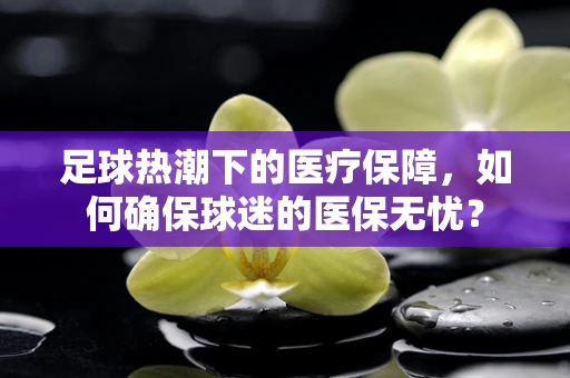 足球热潮下的医疗保障，如何确保球迷的医保无忧？