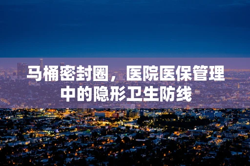 马桶密封圈，医院医保管理中的隐形卫生防线