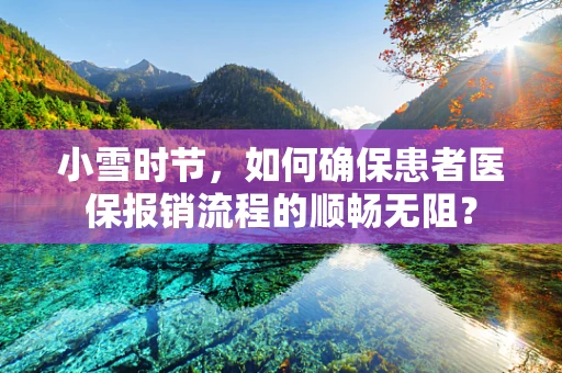 小雪时节，如何确保患者医保报销流程的顺畅无阻？