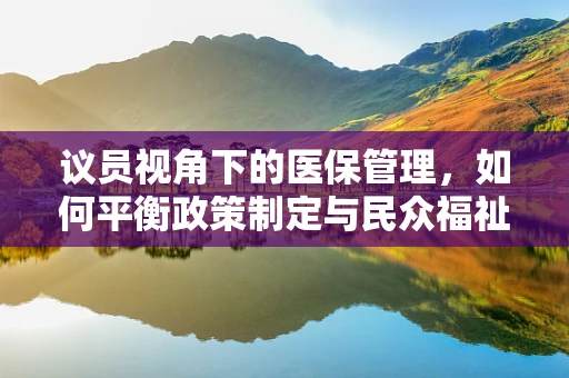 议员视角下的医保管理，如何平衡政策制定与民众福祉？