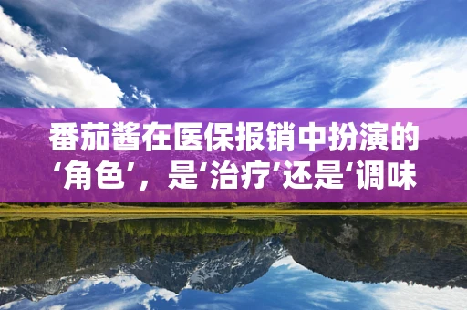 番茄酱在医保报销中扮演的‘角色’，是‘治疗’还是‘调味’？