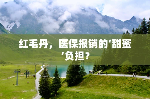 红毛丹，医保报销的‘甜蜜’负担？