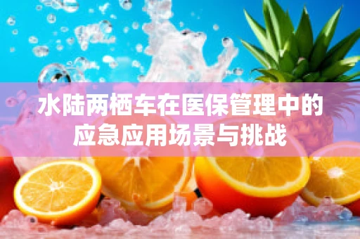 水陆两栖车在医保管理中的应急应用场景与挑战