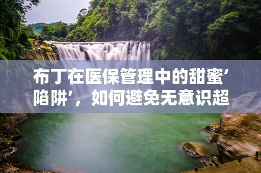 布丁在医保管理中的甜蜜‘陷阱’，如何避免无意识超支？