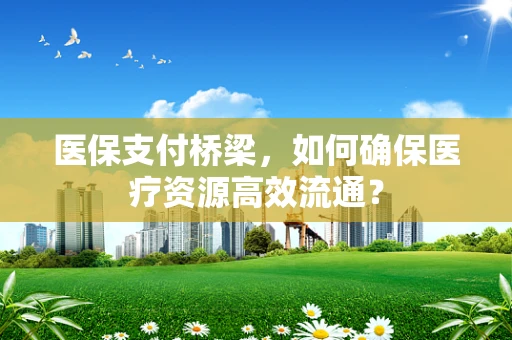 医保支付桥梁，如何确保医疗资源高效流通？