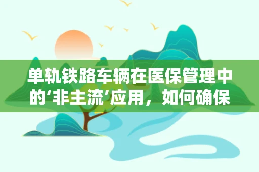 单轨铁路车辆在医保管理中的‘非主流’应用，如何确保其医疗费用报销的精准性？