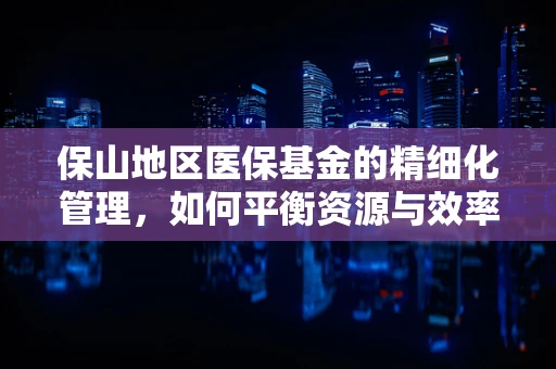 保山地区医保基金的精细化管理，如何平衡资源与效率？