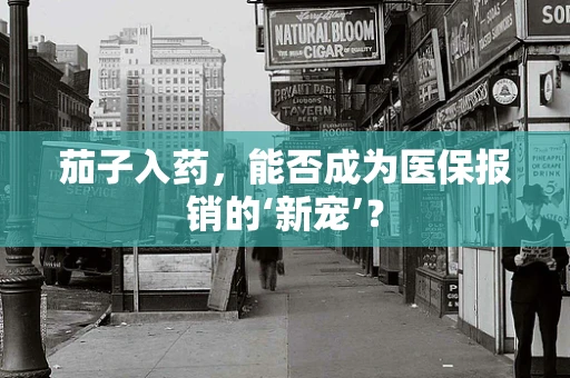 茄子入药，能否成为医保报销的‘新宠’？