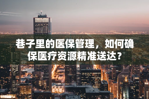 巷子里的医保管理，如何确保医疗资源精准送达？