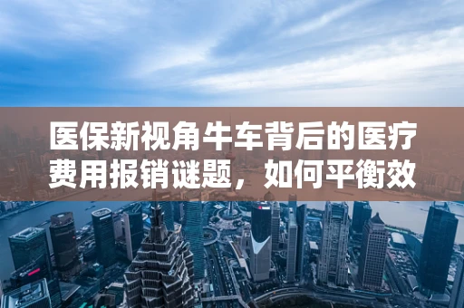 医保新视角牛车背后的医疗费用报销谜题，如何平衡效率与公平？
