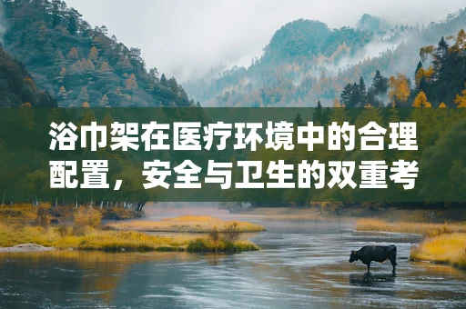 浴巾架在医疗环境中的合理配置，安全与卫生的双重考量