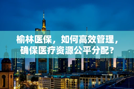 榆林医保，如何高效管理，确保医疗资源公平分配？
