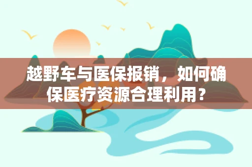 越野车与医保报销，如何确保医疗资源合理利用？