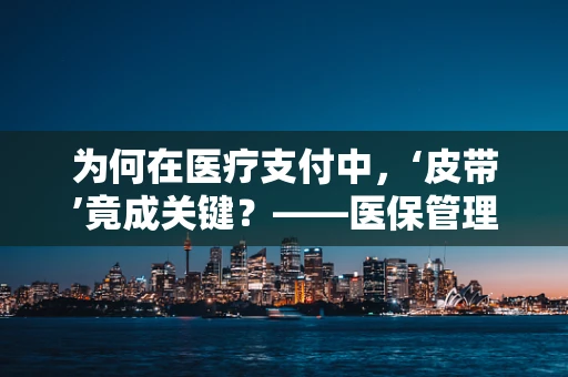 为何在医疗支付中，‘皮带’竟成关键？——医保管理中的隐形成本考量