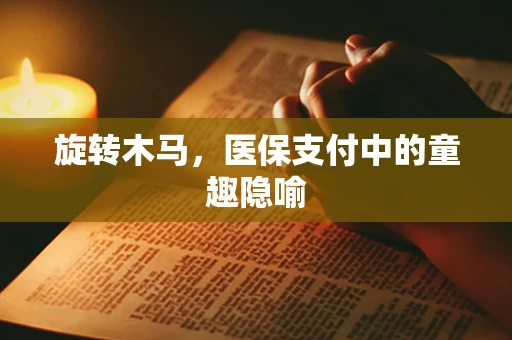 旋转木马，医保支付中的童趣隐喻