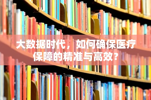 大数据时代，如何确保医疗保障的精准与高效？