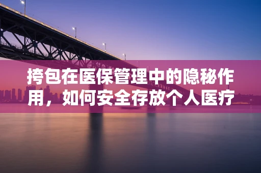 挎包在医保管理中的隐秘作用，如何安全存放个人医疗信息？