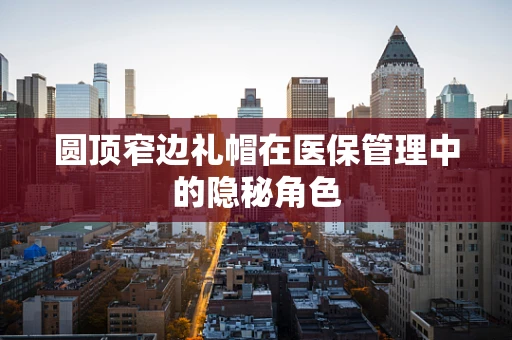 圆顶窄边礼帽在医保管理中的隐秘角色