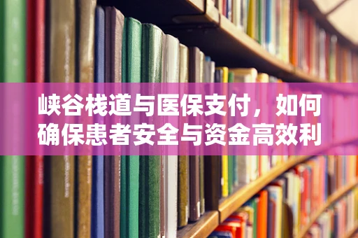 峡谷栈道与医保支付，如何确保患者安全与资金高效利用？
