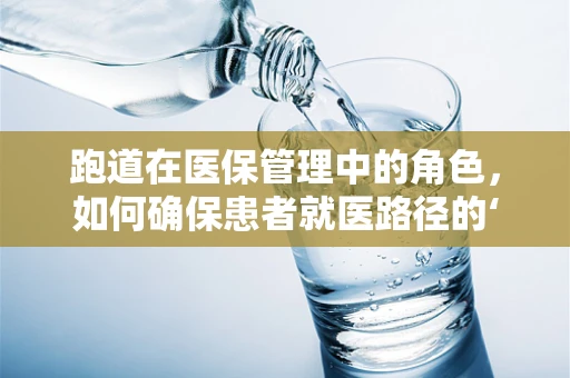 跑道在医保管理中的角色，如何确保患者就医路径的‘赛道’公平与高效？