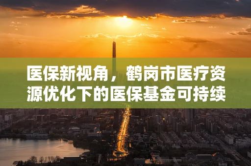 医保新视角，鹤岗市医疗资源优化下的医保基金可持续性挑战