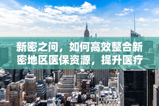 新密之问，如何高效整合新密地区医保资源，提升医疗服务质量？