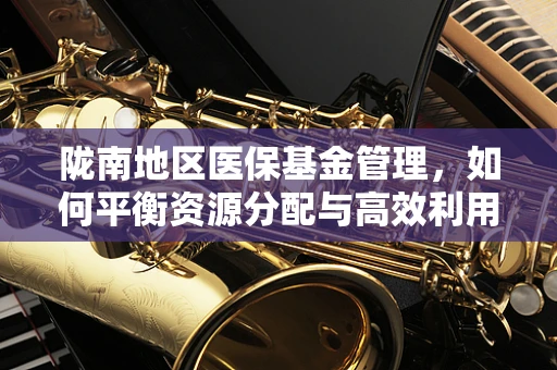 陇南地区医保基金管理，如何平衡资源分配与高效利用？