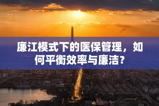 廉江模式下的医保管理，如何平衡效率与廉洁？