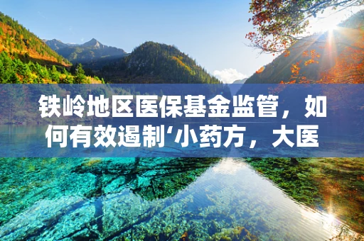 铁岭地区医保基金监管，如何有效遏制‘小药方，大医保’现象？