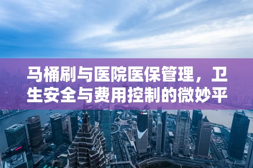 马桶刷与医院医保管理，卫生安全与费用控制的微妙平衡
