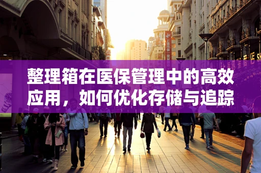 整理箱在医保管理中的高效应用，如何优化存储与追踪？