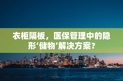 衣柜隔板，医保管理中的隐形‘储物’解决方案？