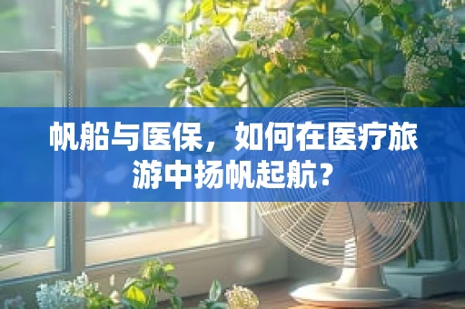 帆船与医保，如何在医疗旅游中扬帆起航？