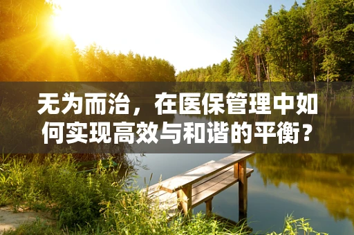 无为而治，在医保管理中如何实现高效与和谐的平衡？