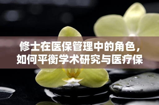 修士在医保管理中的角色，如何平衡学术研究与医疗保障实践？