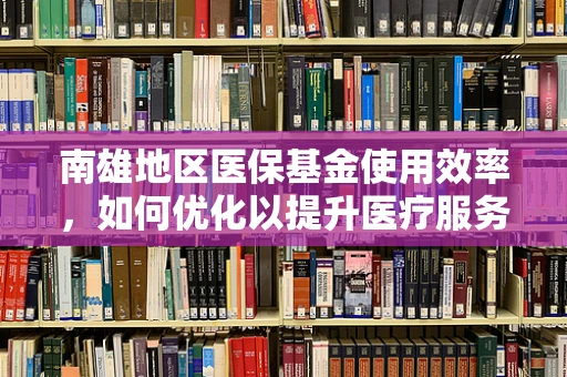 南雄地区医保基金使用效率，如何优化以提升医疗服务质量？