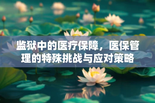 监狱中的医疗保障，医保管理的特殊挑战与应对策略