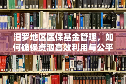 汨罗地区医保基金管理，如何确保资源高效利用与公平分配？