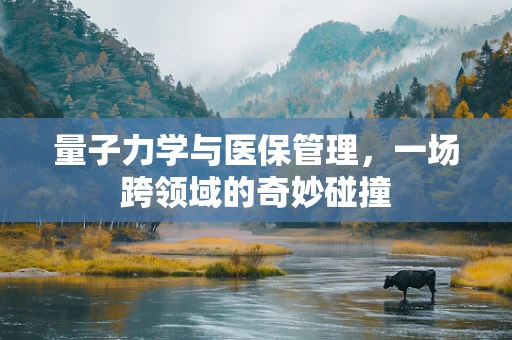 量子力学与医保管理，一场跨领域的奇妙碰撞