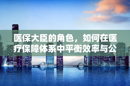 医保大臣的角色，如何在医疗保障体系中平衡效率与公平？