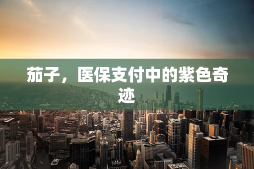 茄子，医保支付中的紫色奇迹