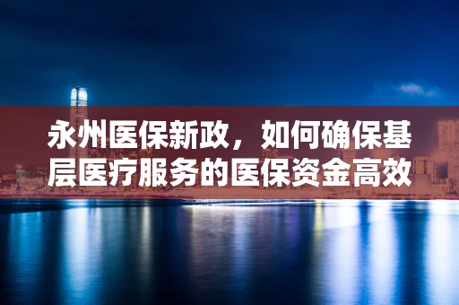 永州医保新政，如何确保基层医疗服务的医保资金高效利用？