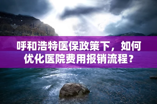呼和浩特医保政策下，如何优化医院费用报销流程？
