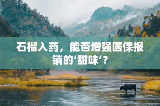 石榴入药，能否增强医保报销的‘甜味’？