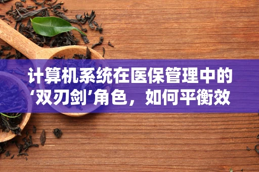 计算机系统在医保管理中的‘双刃剑’角色，如何平衡效率与安全？